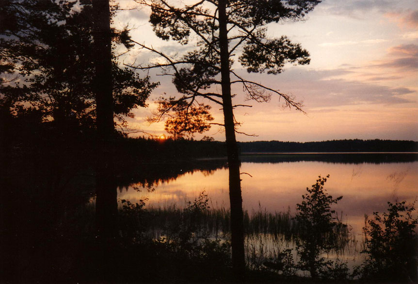 a0087352_80856.jpg