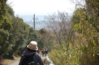 野の花と出会う会-二の宿峠_c0108460_19544535.jpg