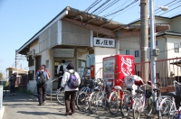 野の花と出会う会-二の宿峠_c0108460_19552388.jpg