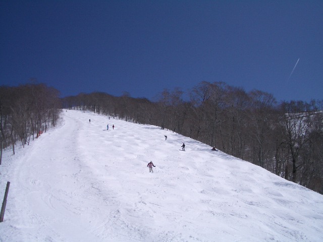 d0010065_21465657.jpg