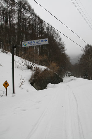 d0079579_17584591.jpg