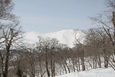 d0079579_180957.jpg