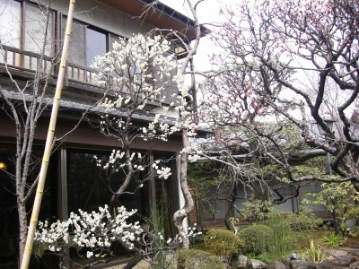 c0078480_2344143.jpg