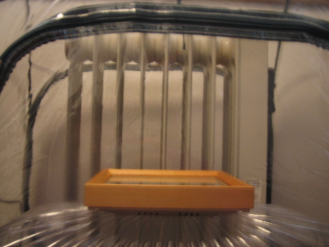 a0008185_162215.jpg
