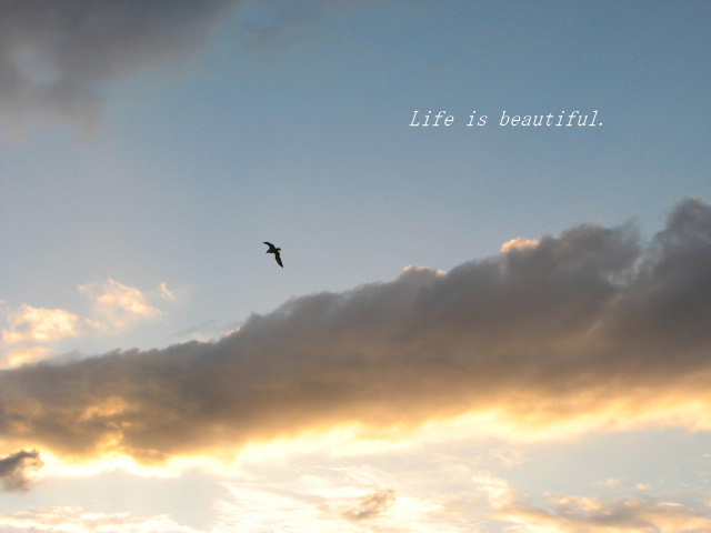 ライフ イズ ビューティフル Life Is Beautiful