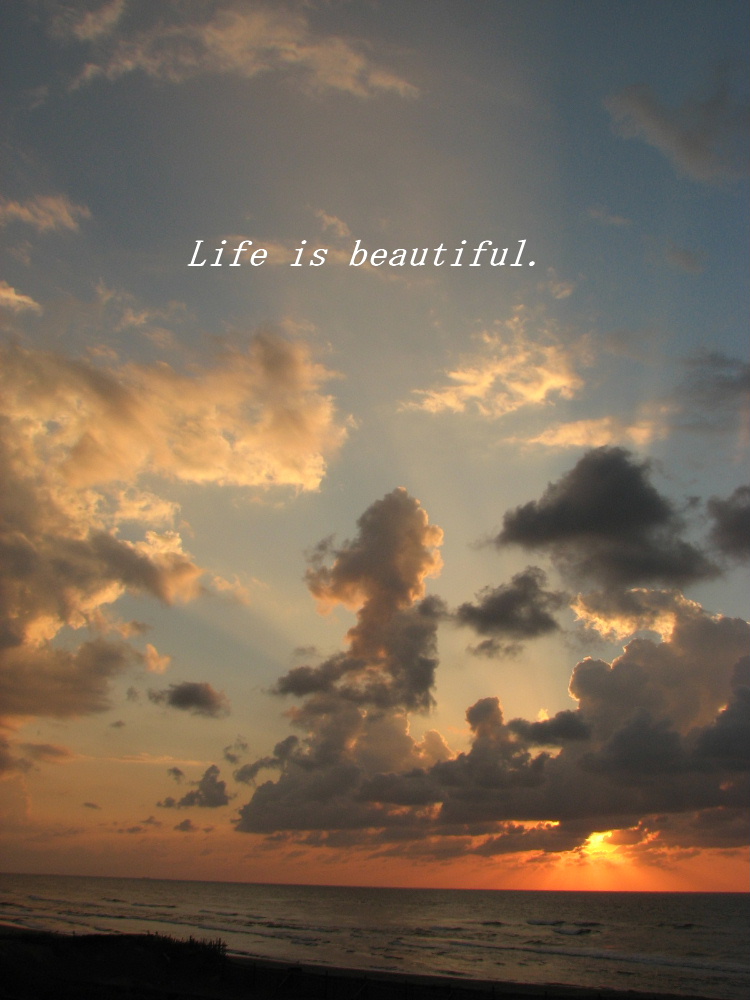 ライフ イズ ビューティフル Life Is Beautiful