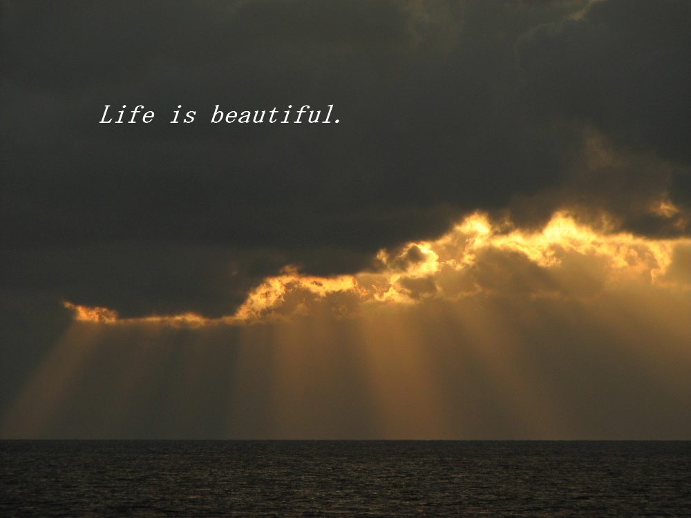 ライフ イズ ビューティフル Life Is Beautiful