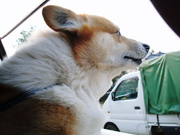 f0136398_2222290.jpg