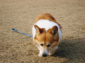 f0136398_2255876.jpg