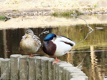 f0136398_2264057.jpg