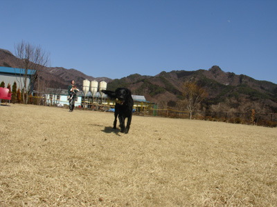 c0040702_21481935.jpg
