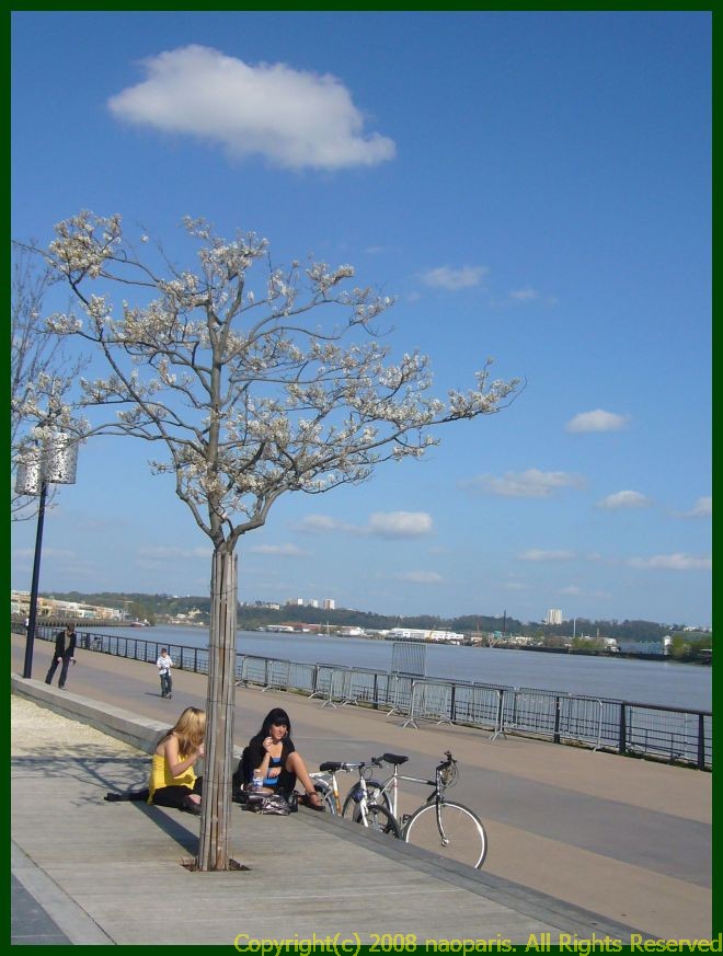 a0008105_2345993.jpg