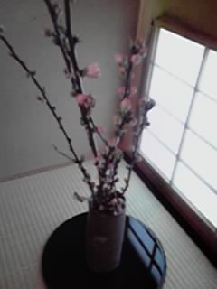 a0032405_145823.jpg