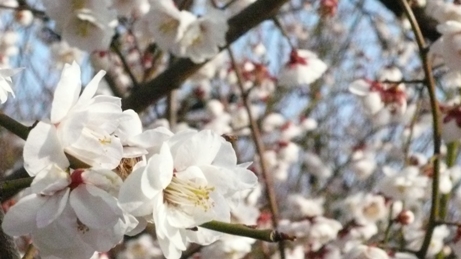a0032405_1542395.jpg