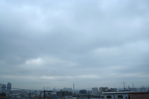 d0131006_9573962.jpg
