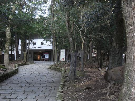 c0005619_04802.jpg