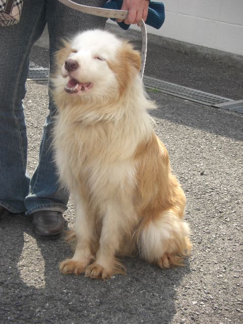 b0086920_06963.jpg