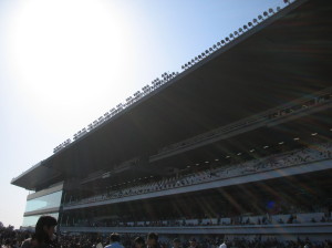 競馬日和_d0066223_10314627.jpg