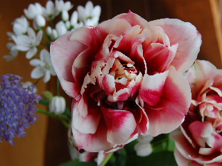e0090926_17495120.jpg