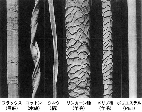 ２ 繊維鑑定 Mojo コメント備忘録