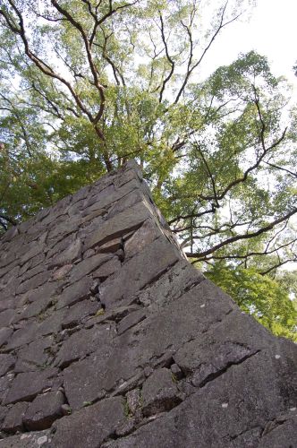 c0111535_16322275.jpg