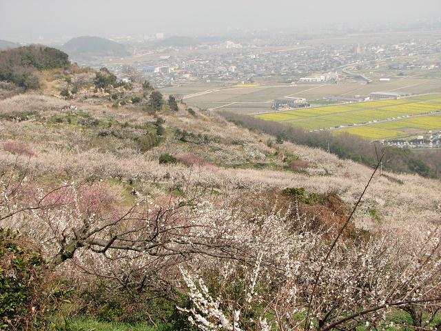 f0099535_20195666.jpg