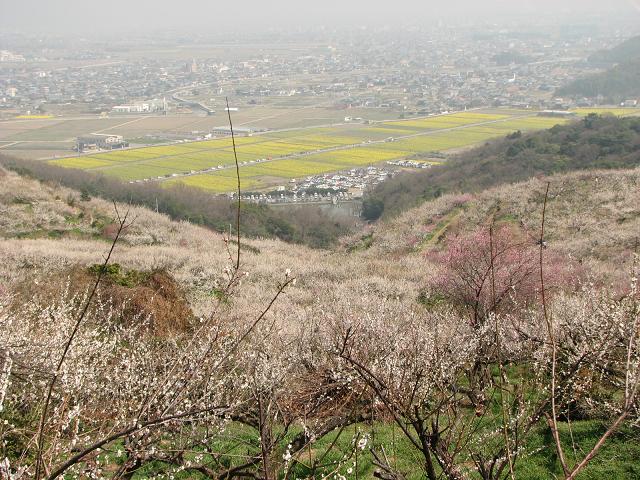f0099535_2020549.jpg