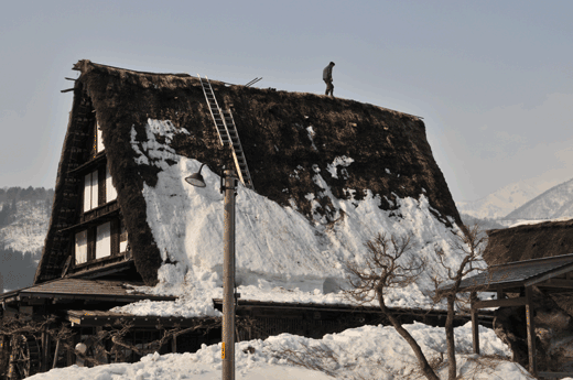 c0093046_7352511.gif