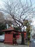 パンもスキ。_c0119259_22261847.jpg
