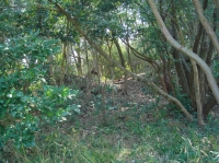 c0108460_163140100.jpg