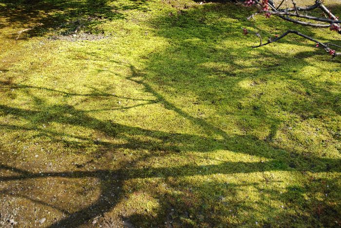 e0053660_854168.jpg