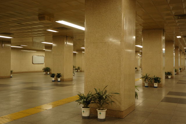 大江戸大道芸_c0081462_933143.jpg