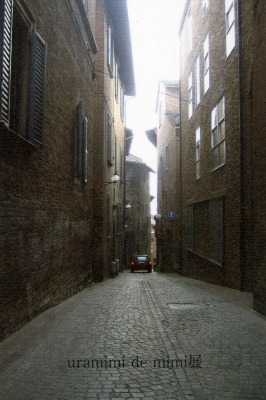 b0117564_2045338.jpg