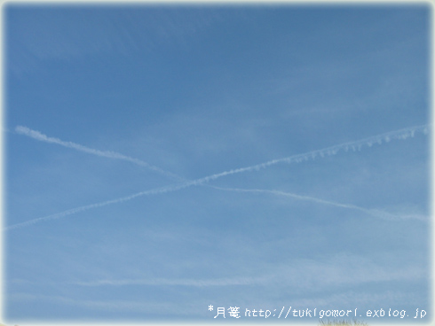 a0019967_2254646.jpg