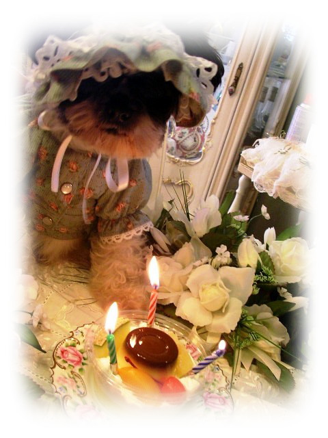 ★　姫ちゃんお誕生日　★_b0122374_2118776.jpg