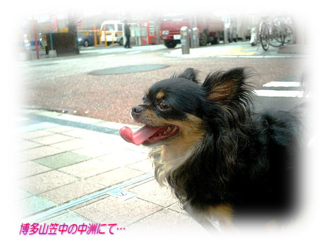 僕…賢太郎！_b0122374_21484118.jpg