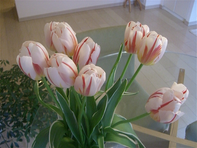 e0018777_22392.jpg
