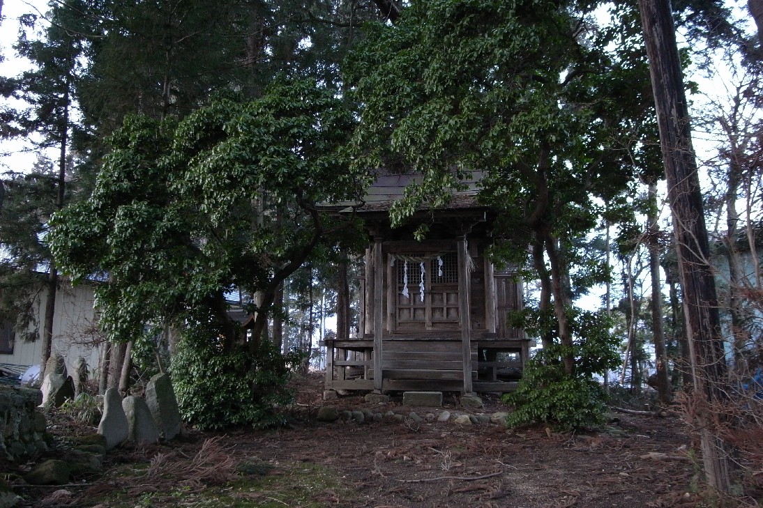 木のトンネルがある神社　「狐っ子稲荷」_c0108388_2113745.jpg