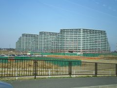 c0109090_1644141.jpg