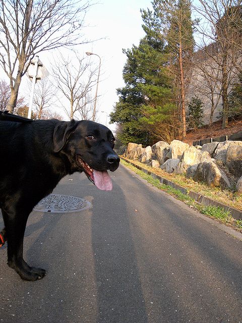 a0093592_07870.jpg
