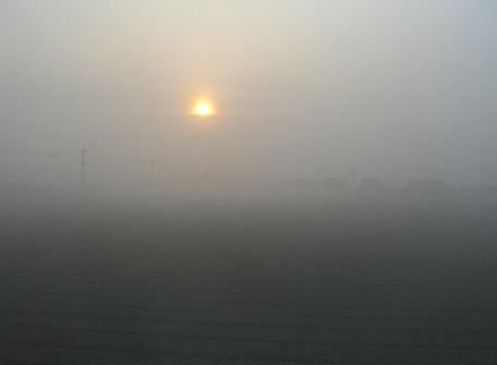 １１７_e0077899_2091925.jpg