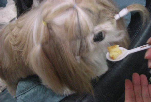 e0050801_250394.gif