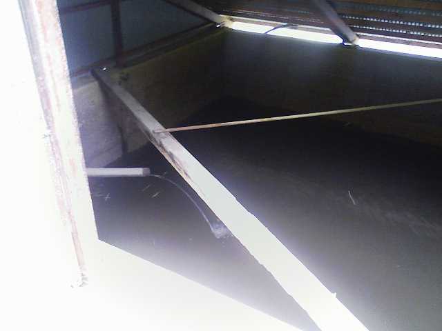 d0072903_7331999.jpg