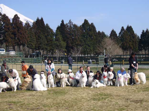 クラウド君お披露目オフ会　集合編　３月１６日　[日]_e0018604_16395549.jpg