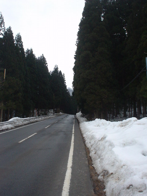 春の雪・・・上川の春_d0039111_11552362.jpg