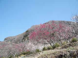 d0100314_2143958.jpg