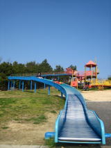 c0113733_004864.jpg