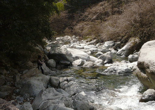 a0056140_0201436.gif