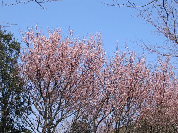 c0138642_23271673.jpg