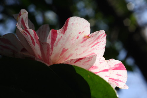 e0022344_252489.jpg